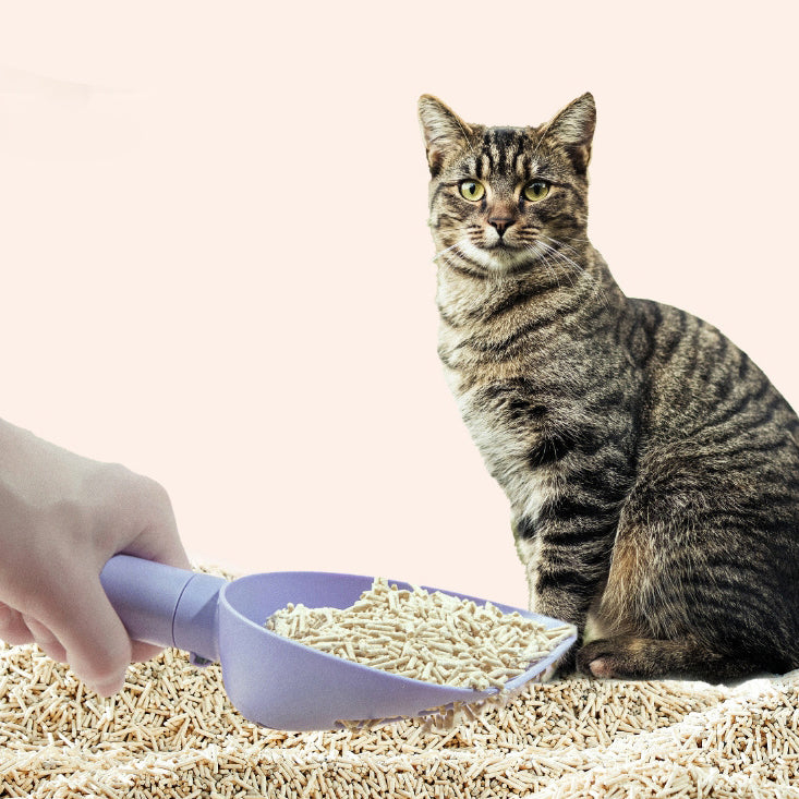 CleanStep™ – Paletta Igienica per Lettiera con Base e Dispenser